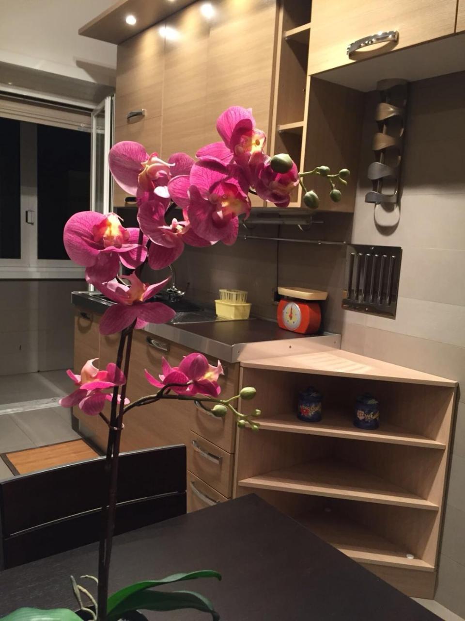 Apartmán Smart House - Ammiragli2 Řím Exteriér fotografie